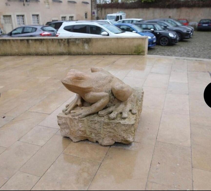 "La Grenouille" Centre Historique - Les Terres Du Roy Vila Avallon Exterior foto